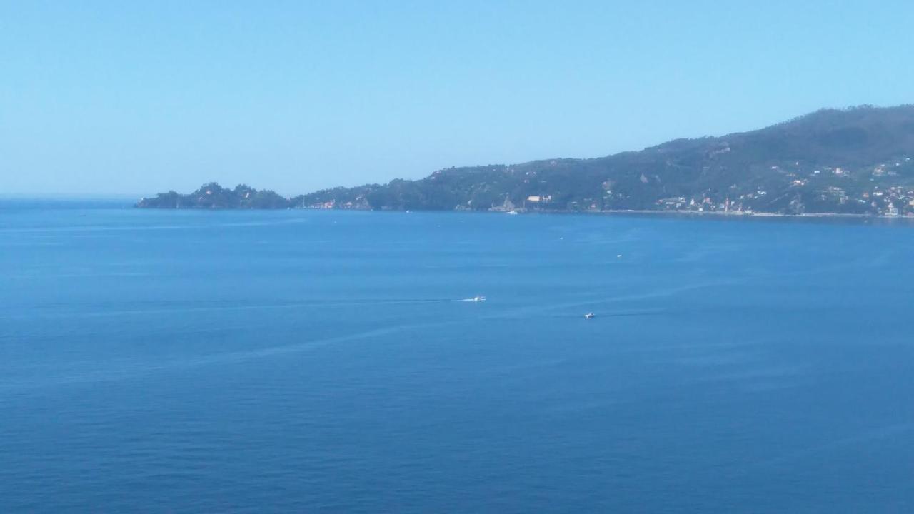 Mare E Vista Portofino - Sea And Portofino View Zoagli Bagian luar foto
