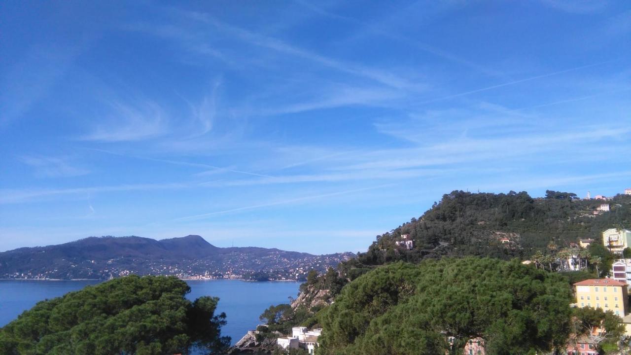 Mare E Vista Portofino - Sea And Portofino View Zoagli Bagian luar foto