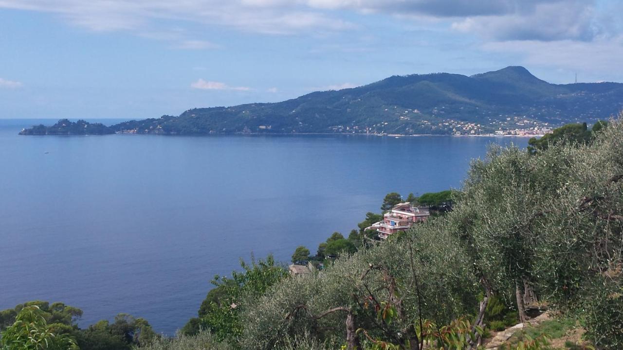 Mare E Vista Portofino - Sea And Portofino View Zoagli Bagian luar foto