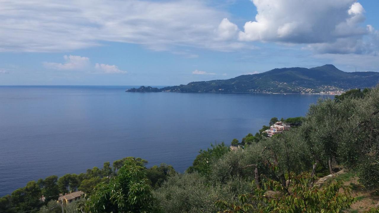 Mare E Vista Portofino - Sea And Portofino View Zoagli Bagian luar foto