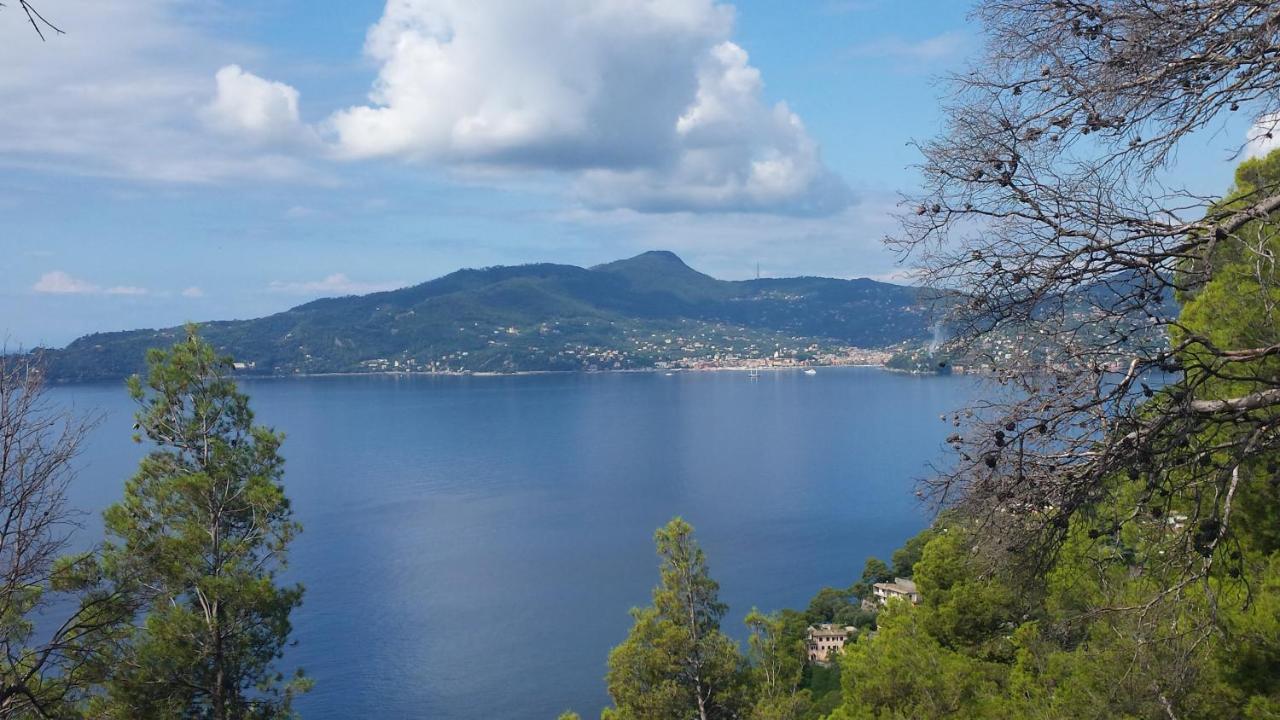 Mare E Vista Portofino - Sea And Portofino View Zoagli Bagian luar foto