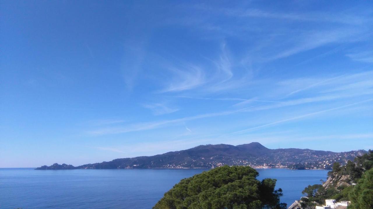 Mare E Vista Portofino - Sea And Portofino View Zoagli Bagian luar foto