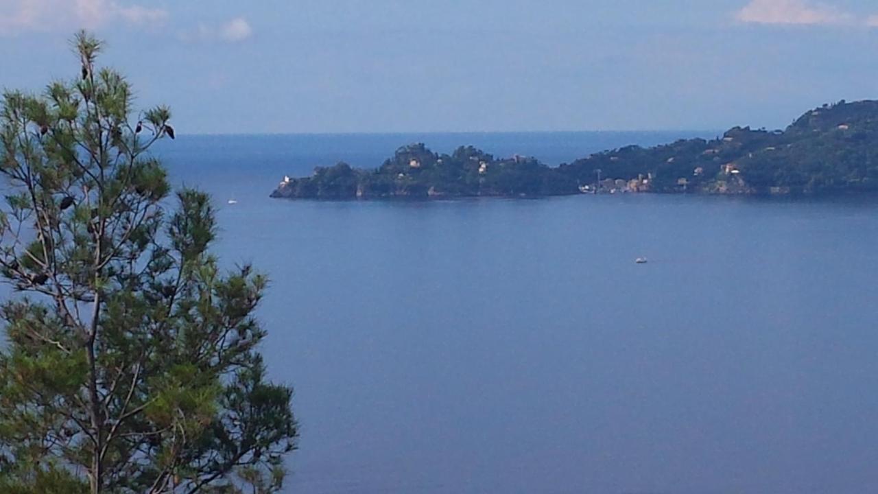 Mare E Vista Portofino - Sea And Portofino View Zoagli Bagian luar foto